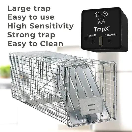 The Ultimate Guide to Mouse Trap Plug in Wall: Get Rid of Mice Easily