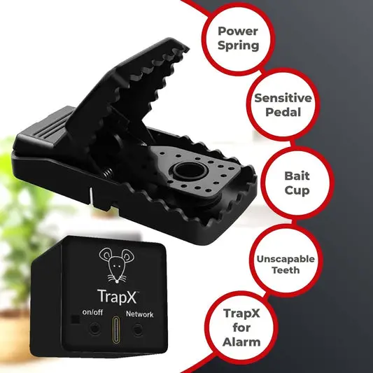 The Evolution of Mouse Trap Tech: A Modern Solution for an Age-Old Problem