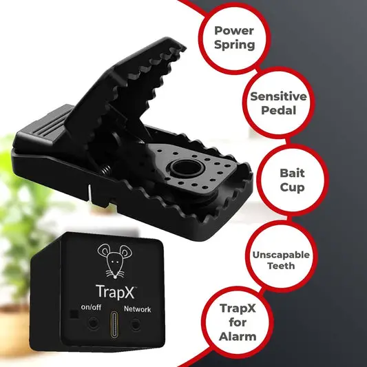 Snap Power: Revolutionizing the Way We Power Our Homes