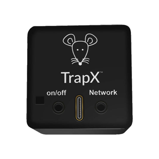 Where to Find Reliable Mouse Traps for Small Mice?