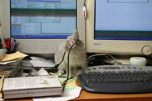 Rodent Control Challenges in Food Processing Facilities