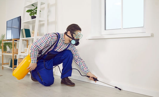 How hotels can automate pest monitoring for efficiency?