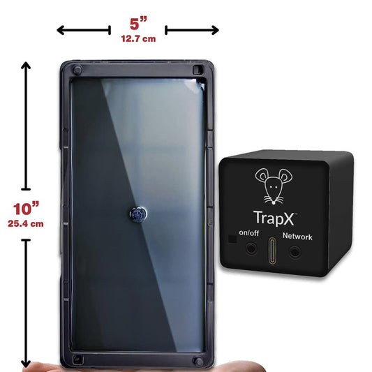 The Best Outdoor Mouse Trap: Keeping Your Yard Rodent-Free