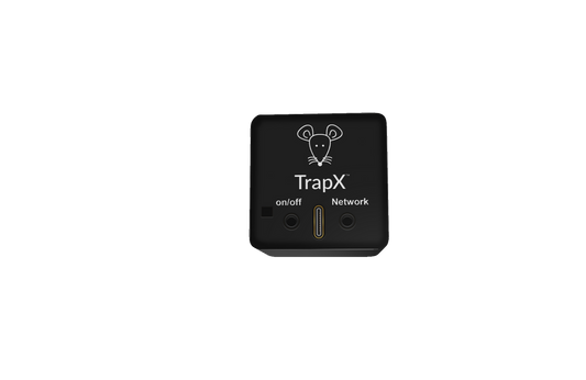 The Ultimate Guide: How to Set a Victor Mouse Trap