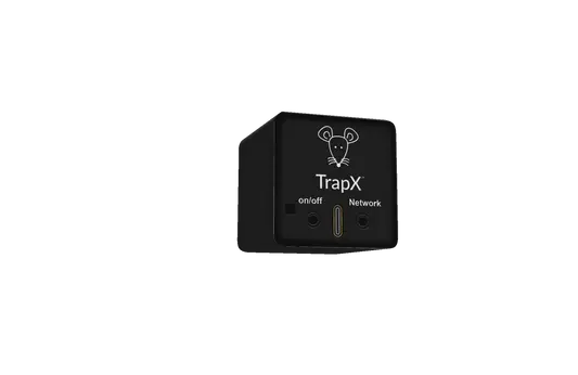 The Ultimate Guide to Using the d con Ultra Set Mouse Trap