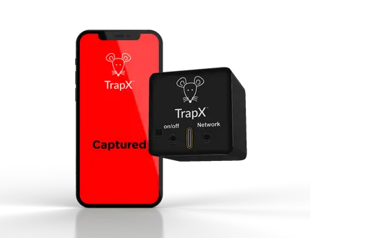 Rat Trap vs Mouse Trap: Which is More Effective for Rodent Control?