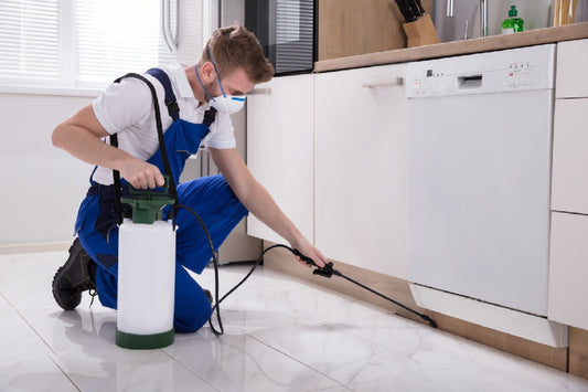 How Soon Can I Clean After Pest Control Treatments?