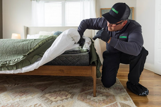 What Lessons Hotels Can Learn from Pest Incidents?
