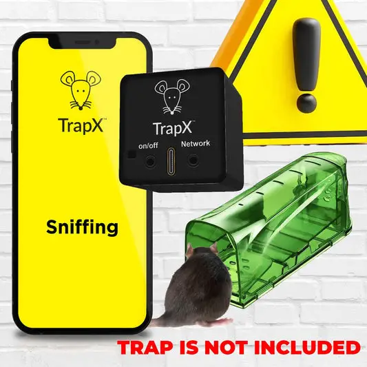 Sticky Mouse Traps Indoor for Home: The Ultimate Guide