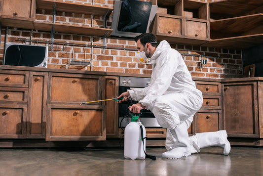 How Long Does It Take for Pest Control Spray to Dry? Everything You Need to Know