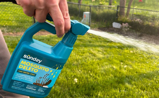 How Often Should Pest Control Spray? Shocking, Terrific Tips