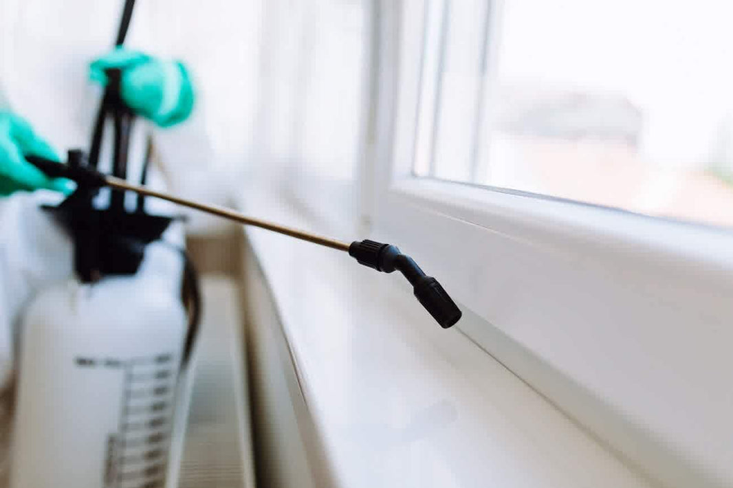 What Spray Does Pest Control Use for Safe Treatments?