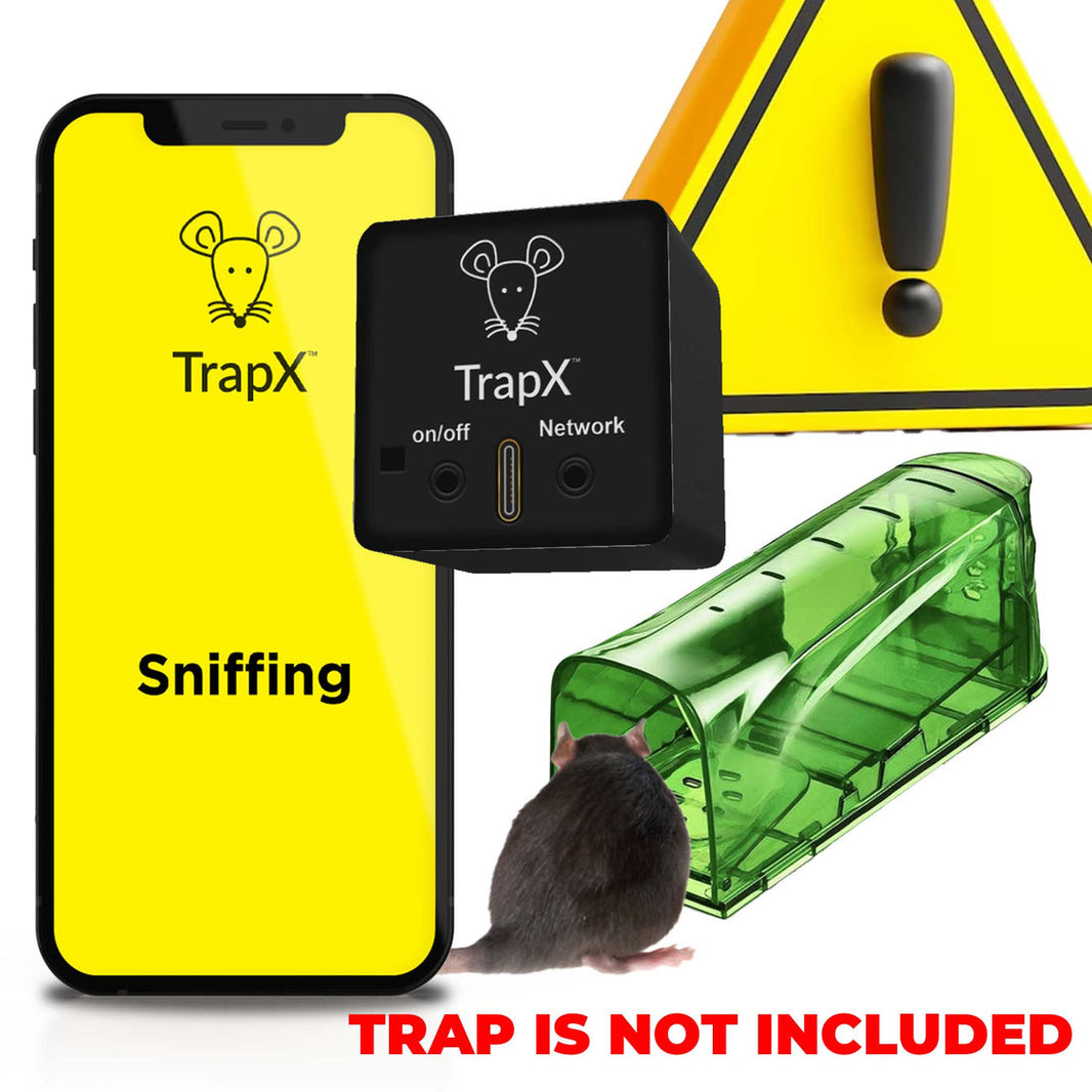 How to Set Up a Mouse Trap: A Comprehensive Guide