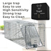 Rat Sticky Traps Extra Large: The Ultimate Solution for Rodent Control