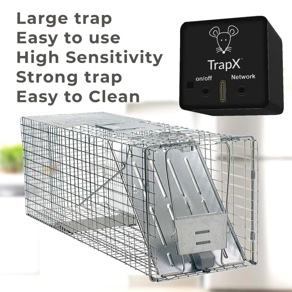 The Revolutionary Tomcat Press 'n Set Mouse Trap: The Ultimate Solution for Pest Control