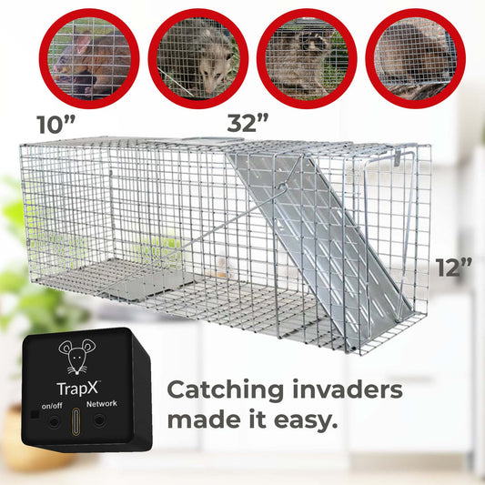 The Ingenious Round Mouse Trap: A Modern Solution to Rodent Infestations