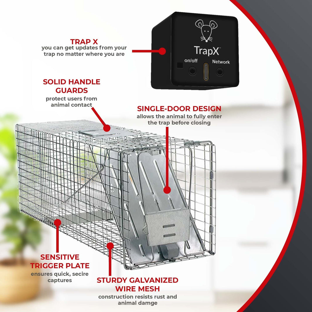 How To Find Rodent Entry Points