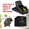 Black Box Mouse Trap: How Does It Work?