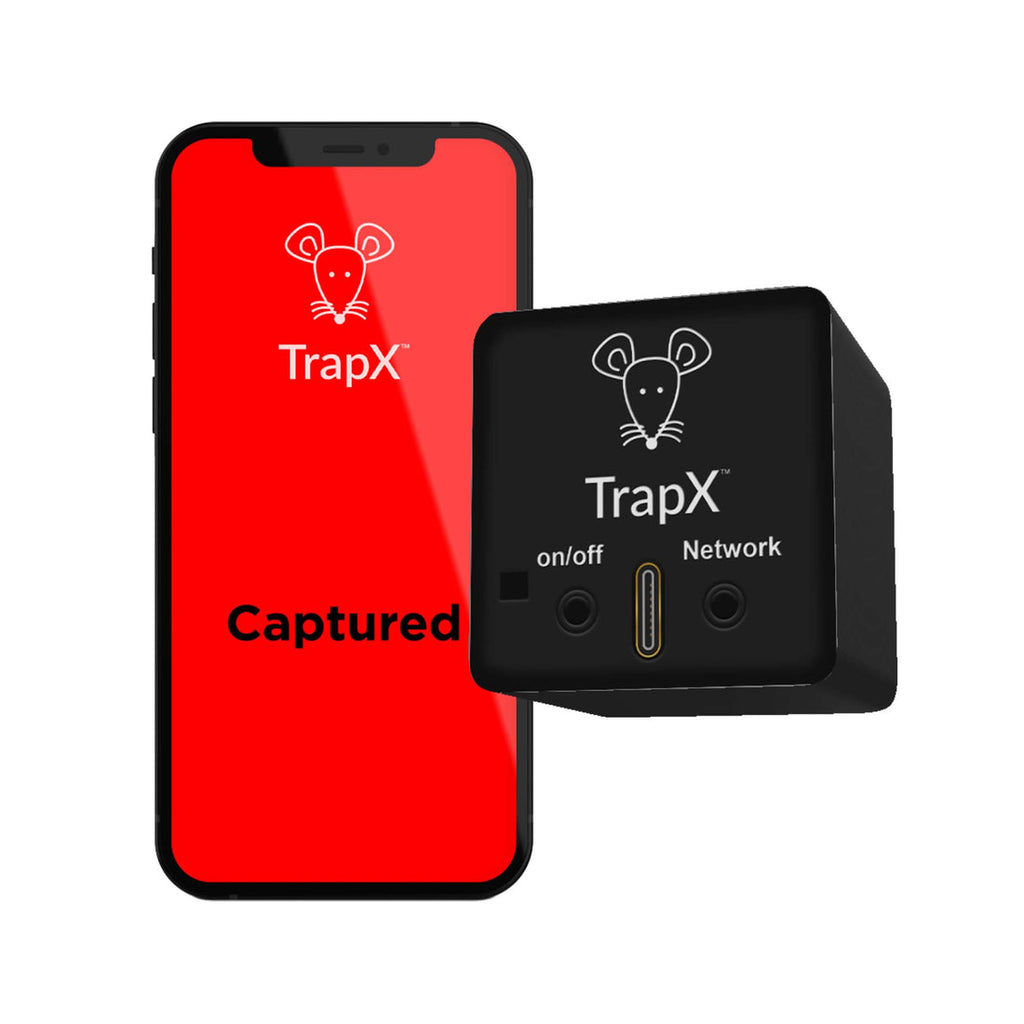 Revolutionizing Pest Control: The Digital Mouse Trap Monitor