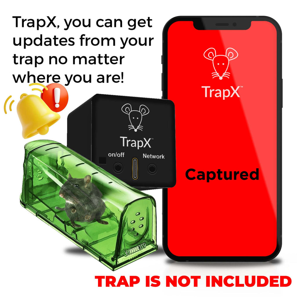 The Future of Pest Control: Exploring the Advanced Mouse Trap Monitor