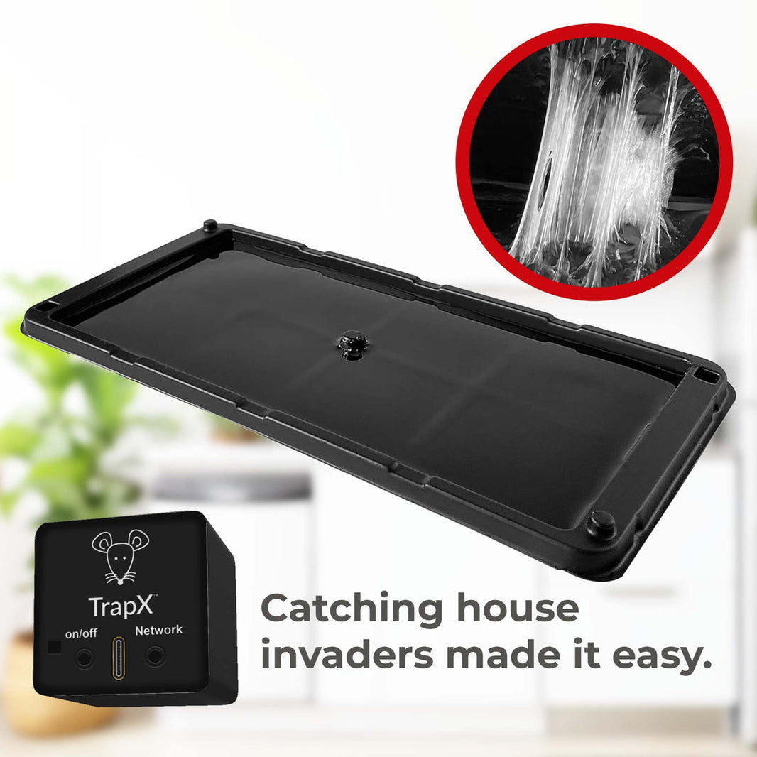 Smart Pest Detectors: The Future of Pest Control