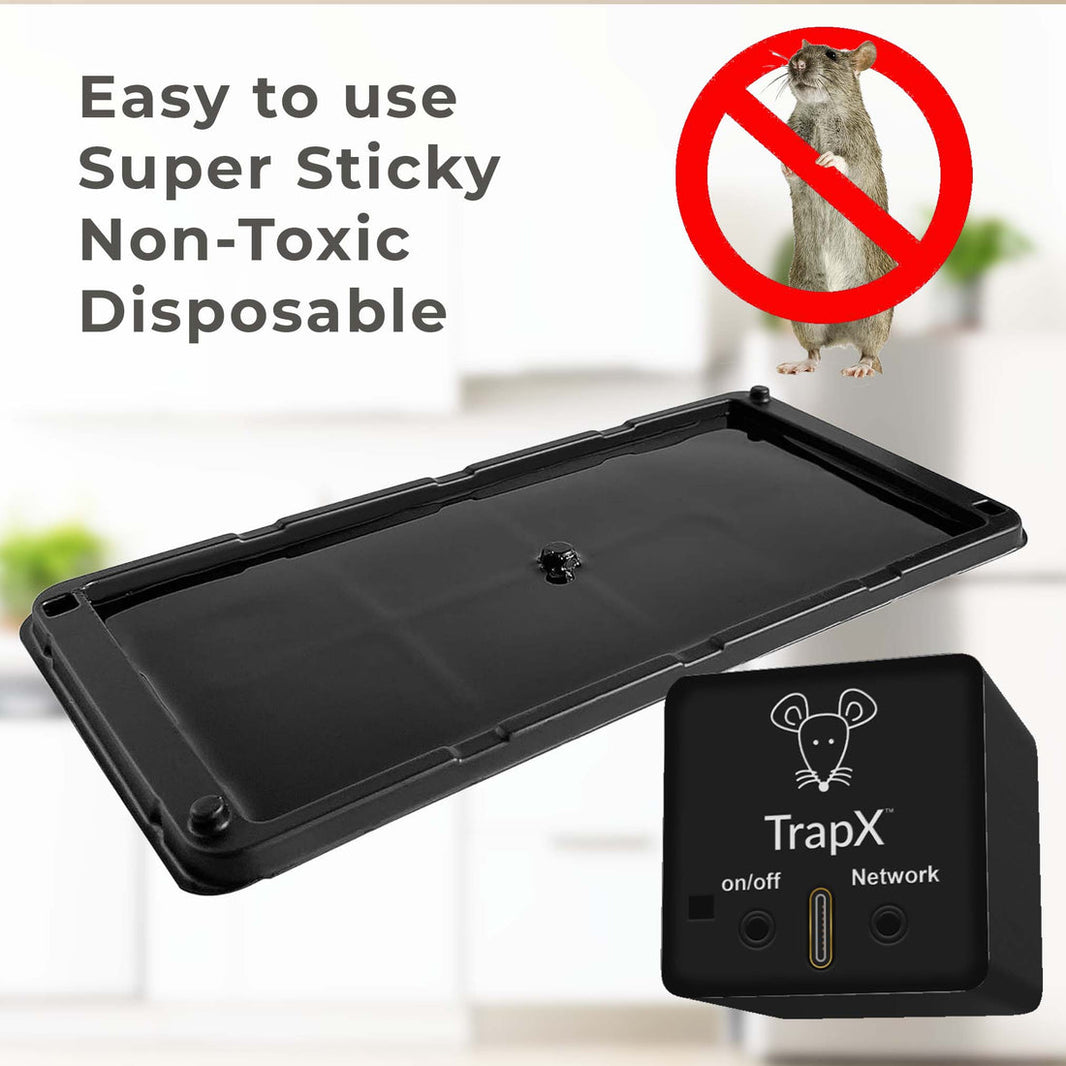 Catchmaster Multi-Catch Mouse Trap: The Ultimate Solution for Mouse Infestations