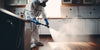 What Do Pest Control Companies Spray for Effective Solutions?