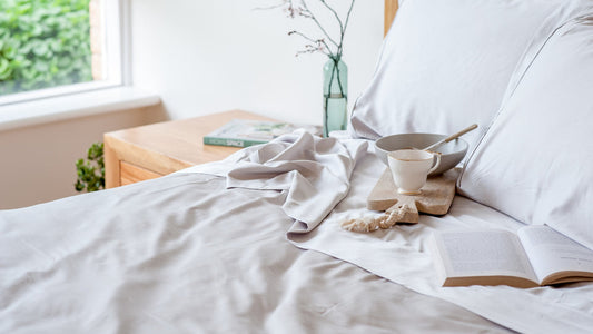 How Hotels Prevent Pests in Laundry Facilities? Strategies and Solutions