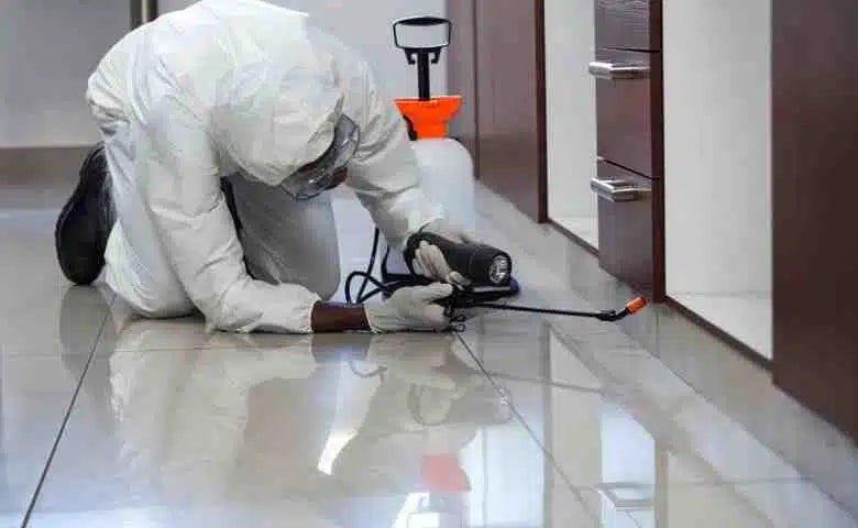 How to Maintain Pest-Free Hotel Corridors for a Comfortable Stay