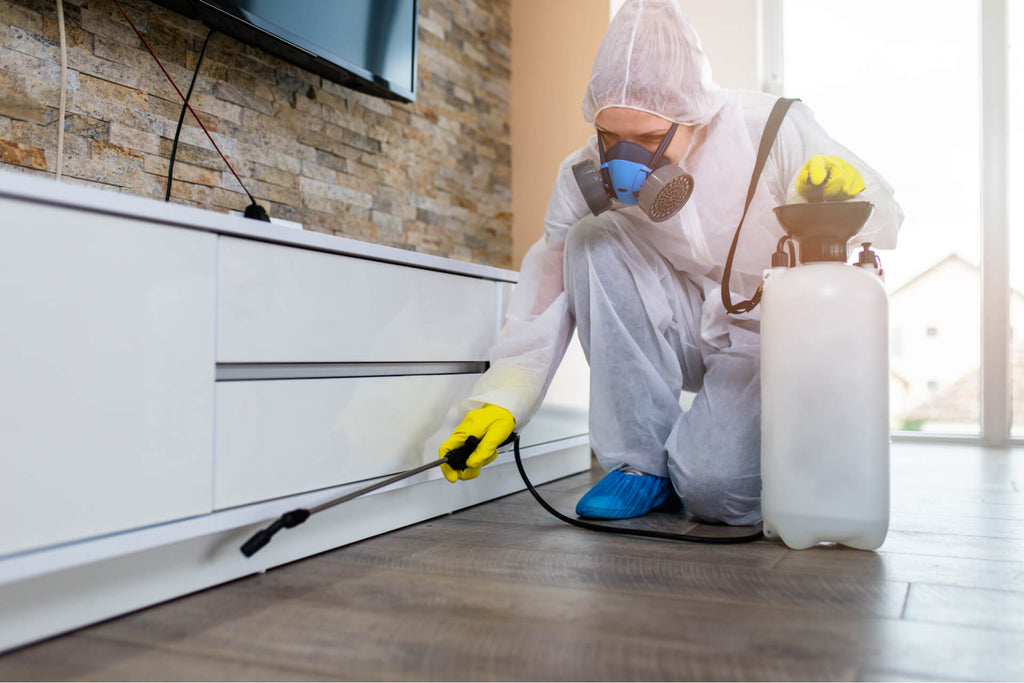 Terrific and Remarkable Guide on How to Start a Pest Control Business in Texas?