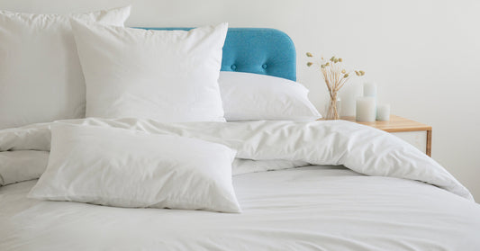 What Pests Threaten Hotel Storage Areas and How to Prevent Them?