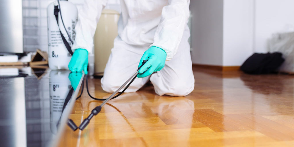 How Much is Pest Control in Florida: Costs and Tips Revealed?