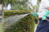 When is the Best Time to Spray Pest Control for Homeowners?