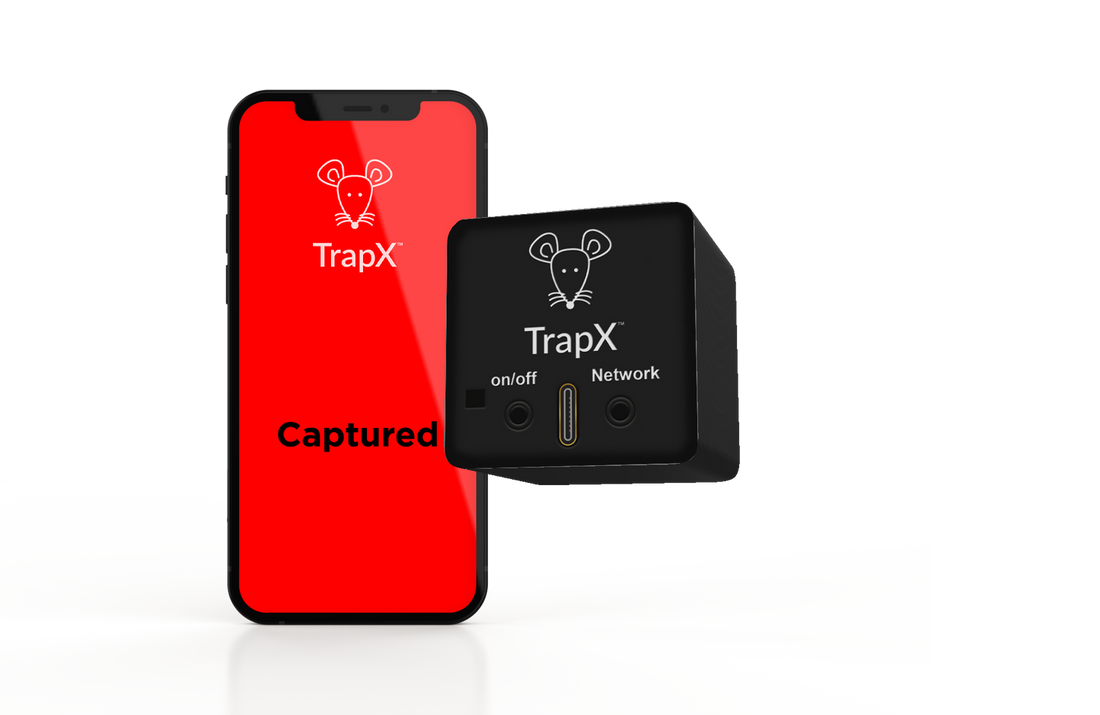 The Ultimate Guide to Mouse Trap Boxes: Everything You Need to Know – TrapX