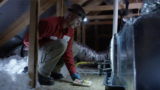 What to Do If a Guest Finds Bugs in Your Rental Property?