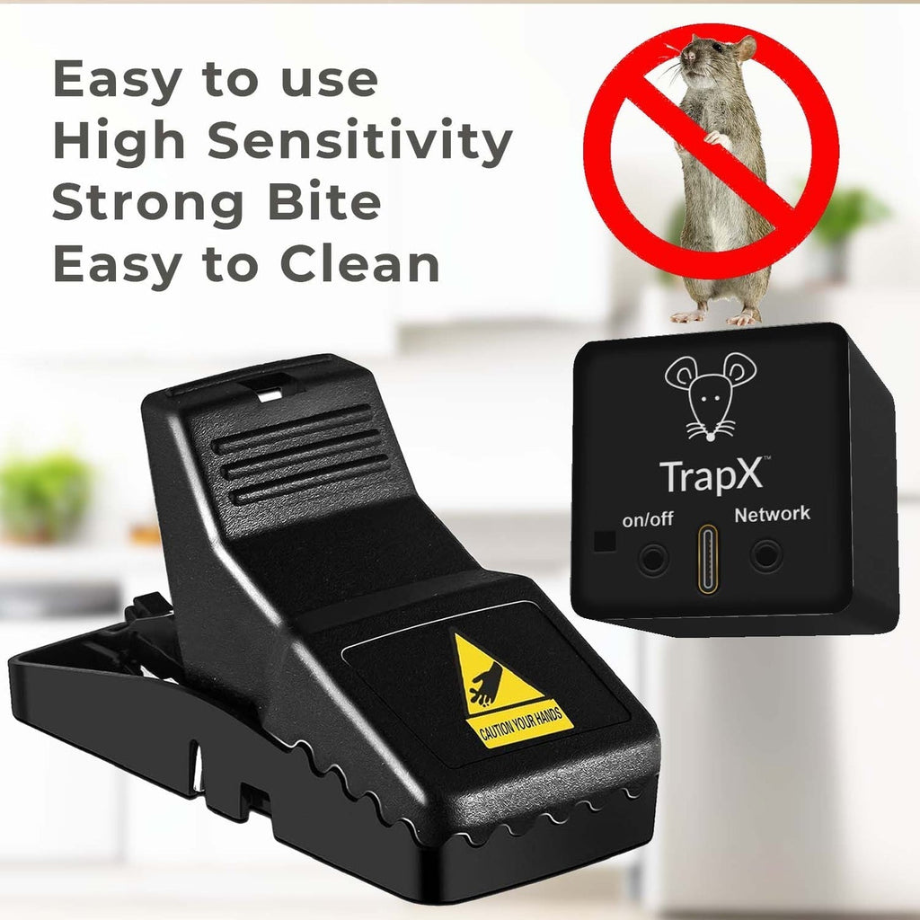 Mouse Trap Sticky Pads: The Ultimate Solution for Getting Rid of Mice