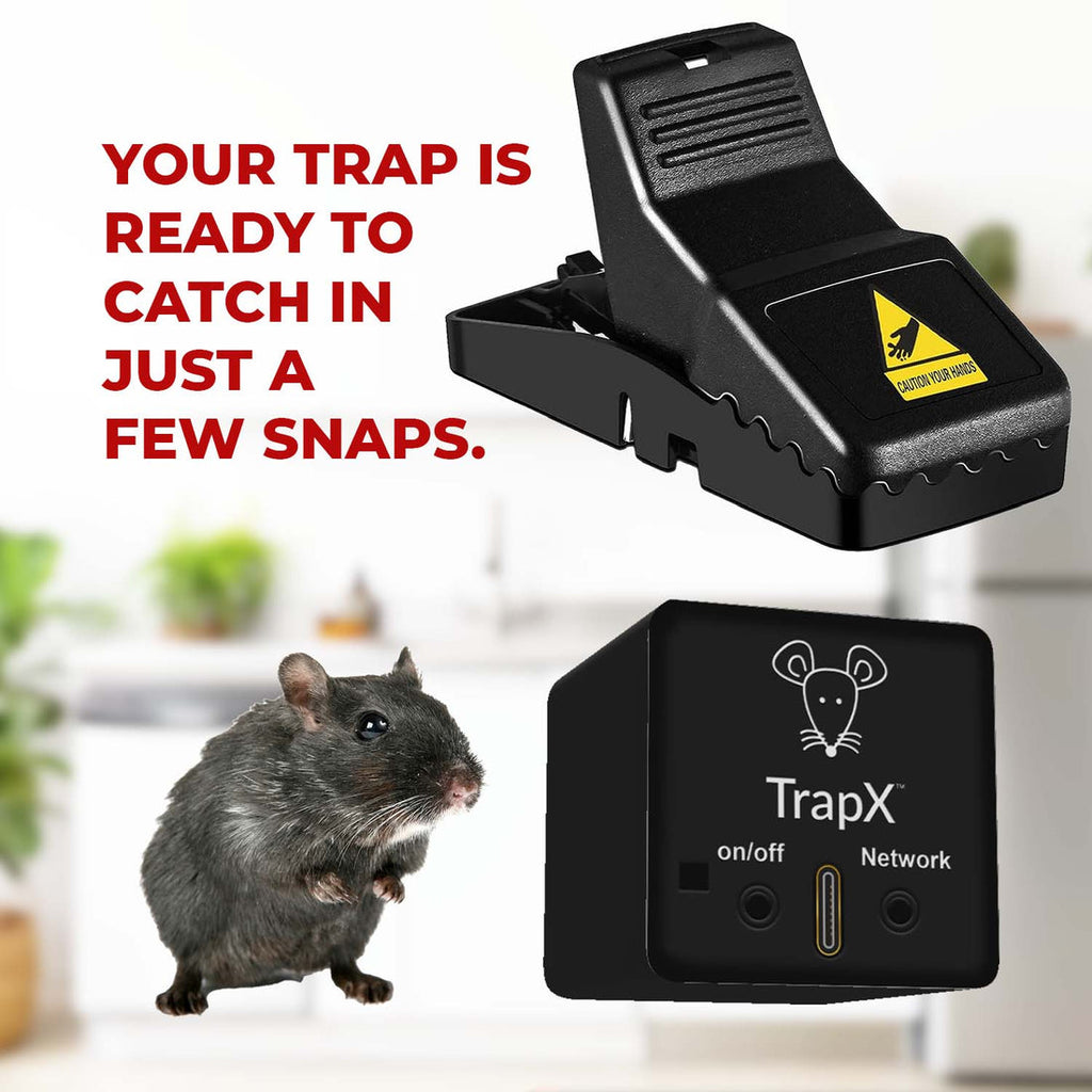 The Benefits of Using TrapX Mice Gel: A Revolutionary Solution for Pest Control