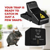 The Ultimate Guide to Catching a Mouse in a Trap