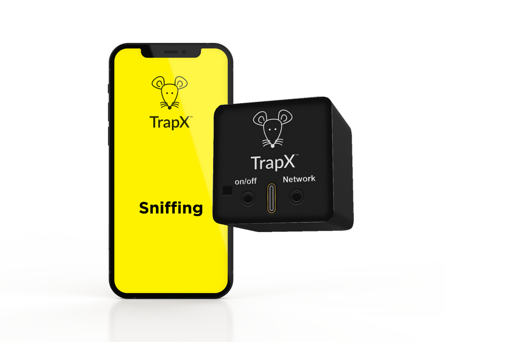 The Ultimate Guide to Finding the Best Bait for Your Mouse Trap