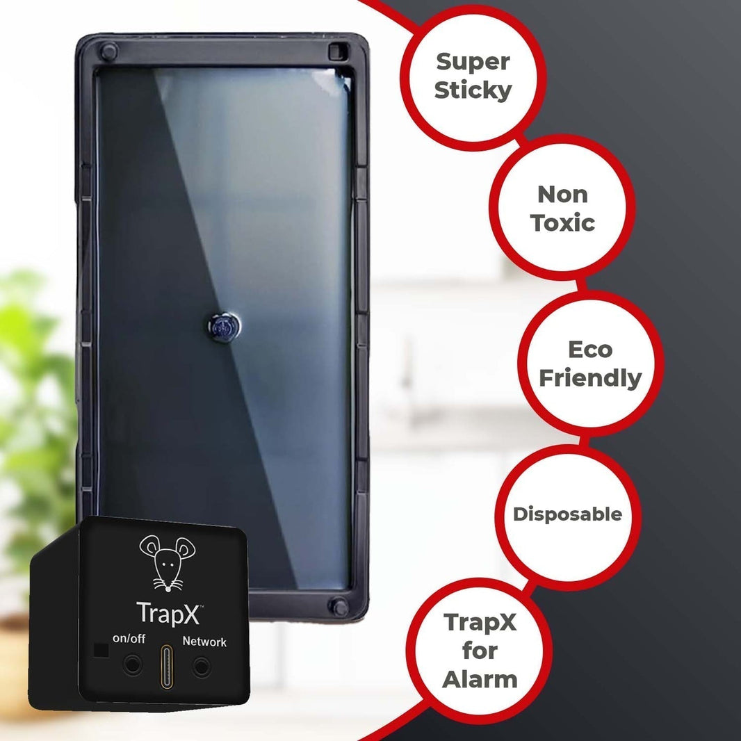 Protect Your Garage with a Rodent Guard for Your Garage Door