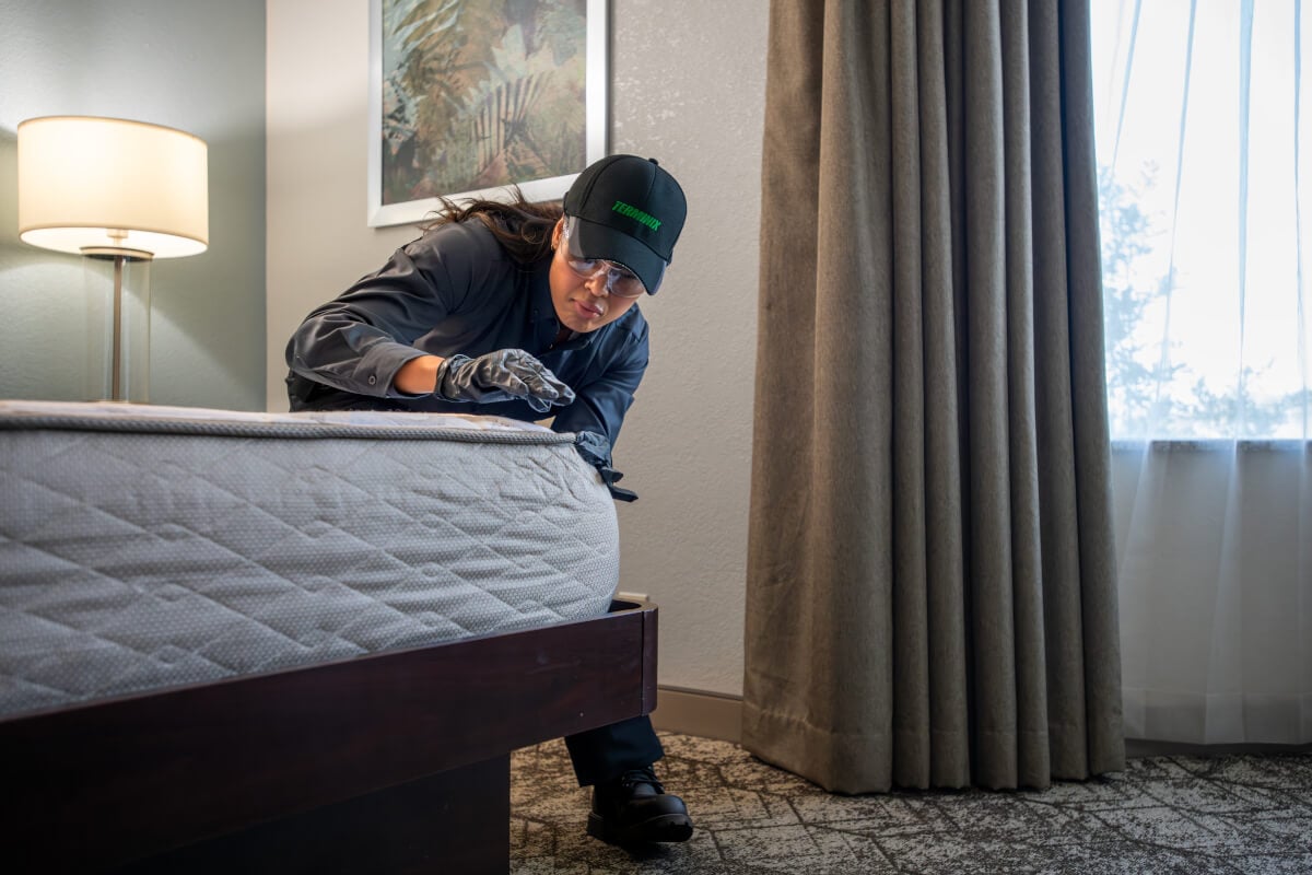 How Hotels Can Monitor Pests in Pools Effectively and Efficiently?