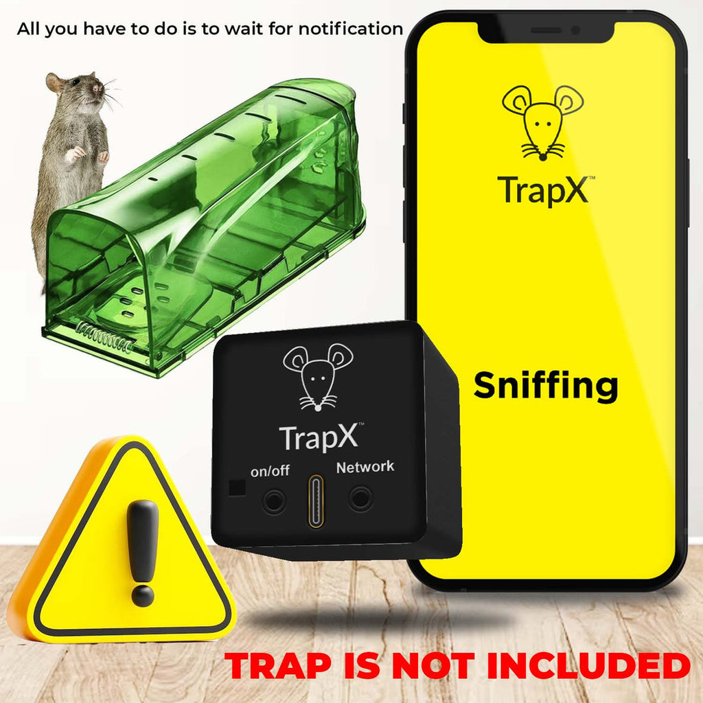 The Best Mouse Trap Ever: A Comprehensive Guide to Catching Mice