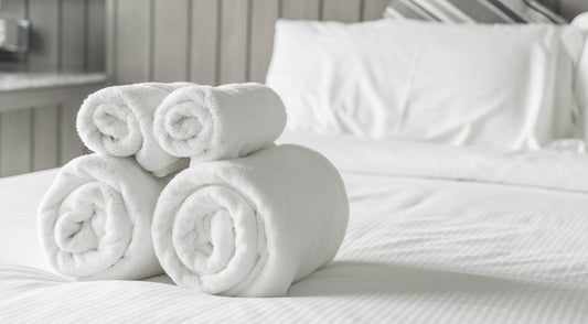 Why Bed Bugs Are a Major Issue in Hotels Today