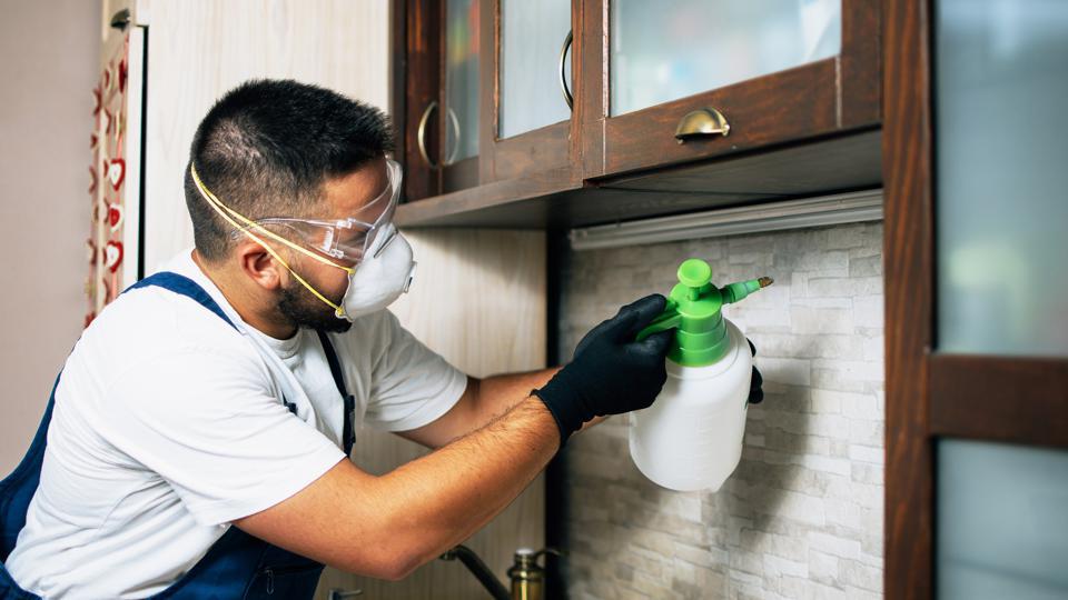 How to Prepare for Pest Control Spray in Your Home?