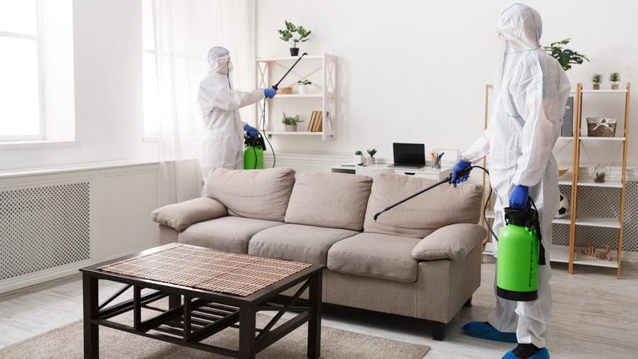 How Do Pest Control Get Rid of Bed Bugs Effectively?