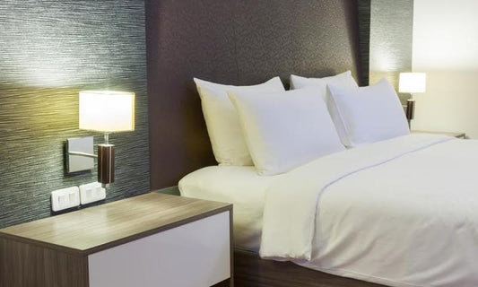 What Are Guest-Friendly Pest Monitoring Methods in Hotels?