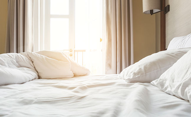 How to Design a Hotel Pest Monitoring Program: A Comprehensive Guide