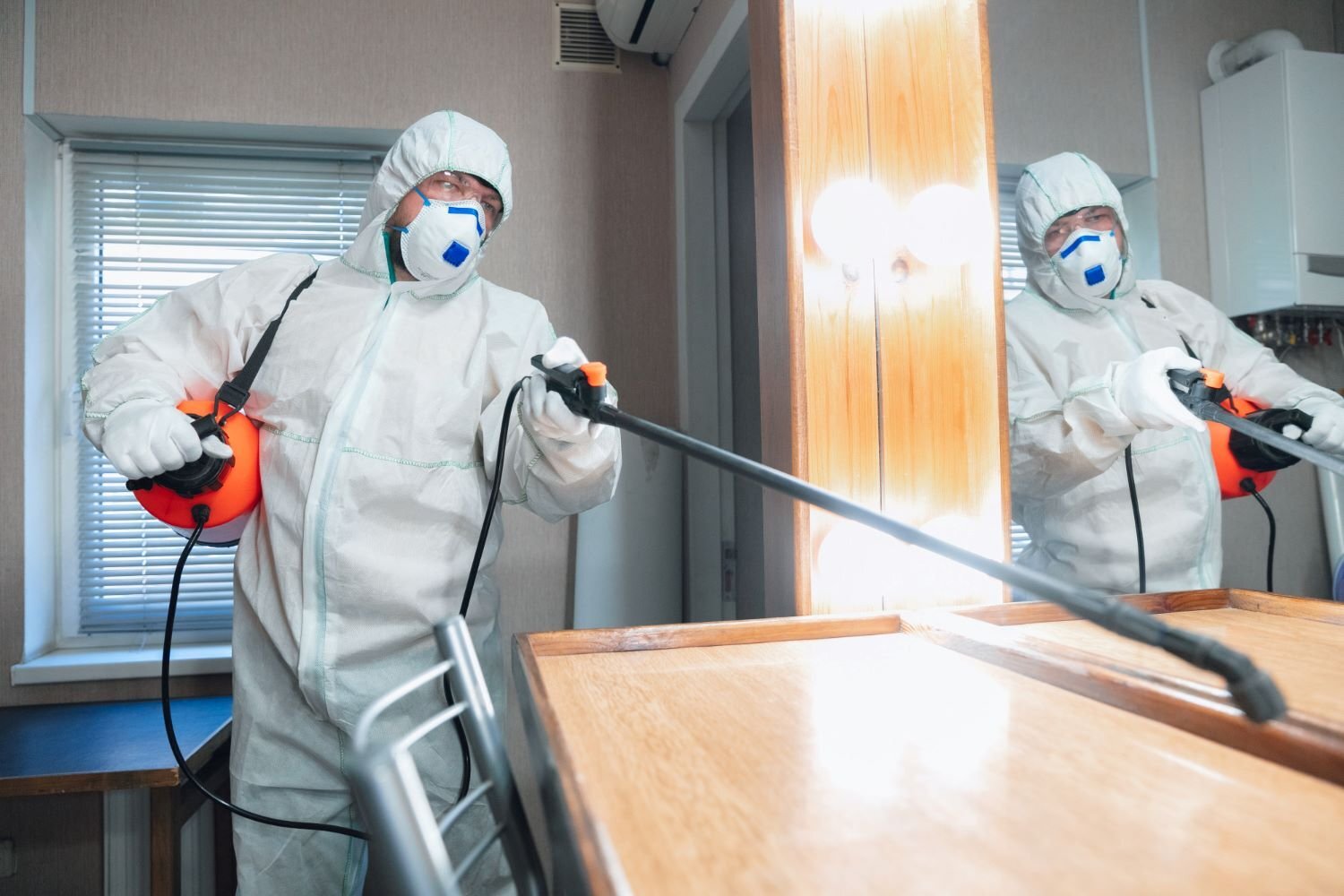 Understanding Pest Control Costs: A Detailed Breakdown