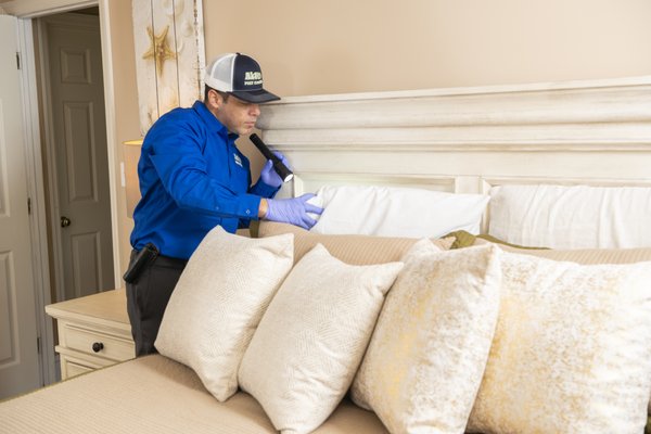 How to Detect Early Rodent Activity in Hotels Effectively