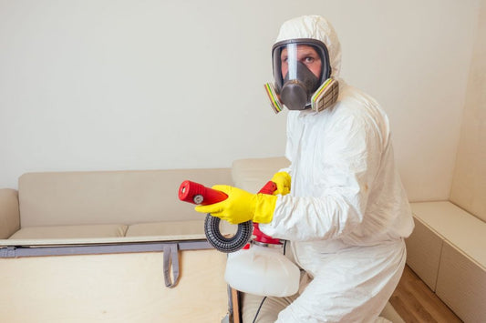 What Are the Risks of Pests in Hotels? Uncover the Reality